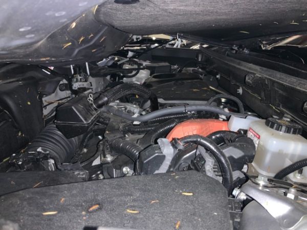 Toyota 2.5 HSD Style RAV4 [SC]