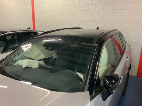 Toyota 2.5 HSD Style RAV4 [SC]