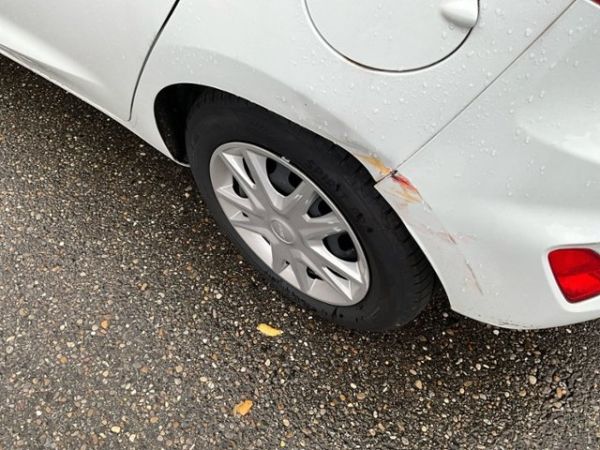 Ford 1.0 EcoB 100 Cool  Connect Fiesta [SC]