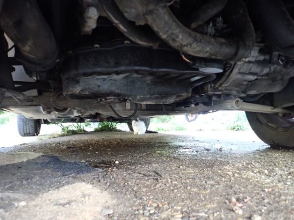 VW Sport  Style 4Motion Tiguan 5N111.20072011 [SC]