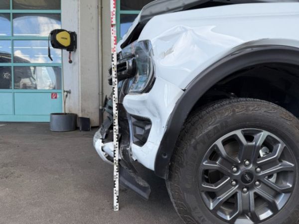 Ford 2.0 EcoBlue 4x4 Wildtrak Ranger DKab.Pickup [SC]
