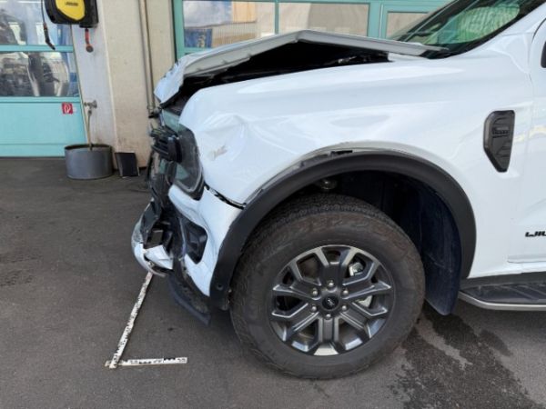 Ford 2.0 EcoBlue 4x4 Wildtrak Ranger DKab.Pickup [SC]