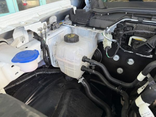 Ford 2.0 EcoBlue 4x4 Wildtrak Ranger DKab.Pickup [SC]