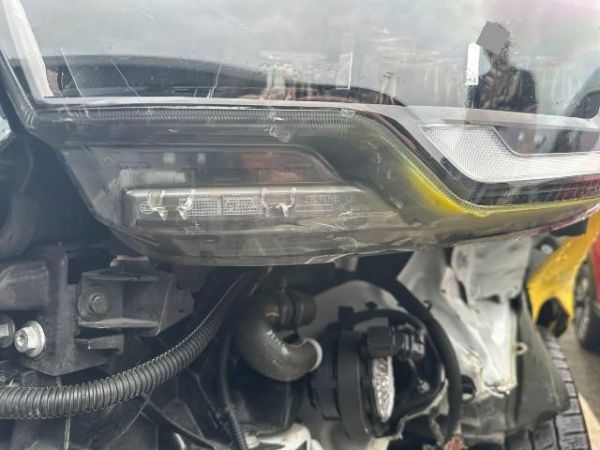 Renault 2.0 dCi Trafic [SC]