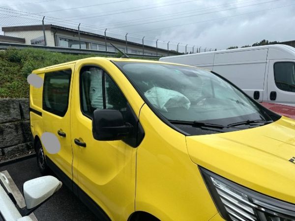 Renault 2.0 dCi Trafic [SC]