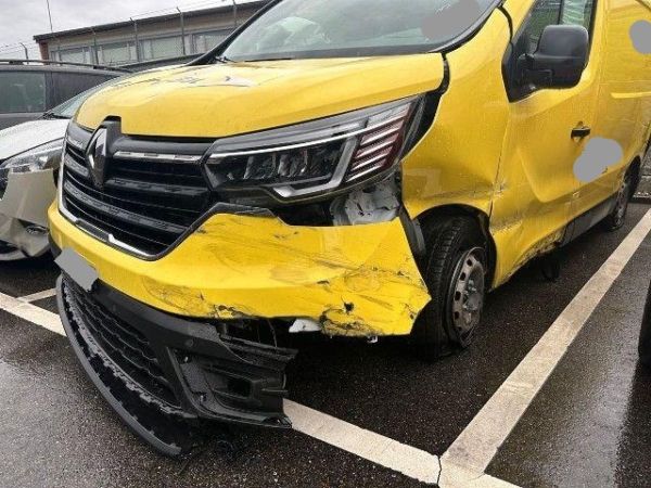 Renault 2.0 dCi Trafic [SC]