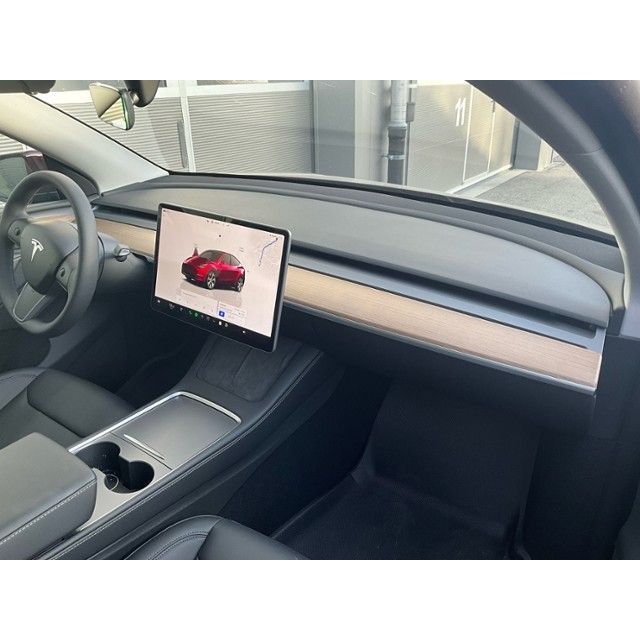Tesla Basis RWD Model Y 01.2021 [SC]