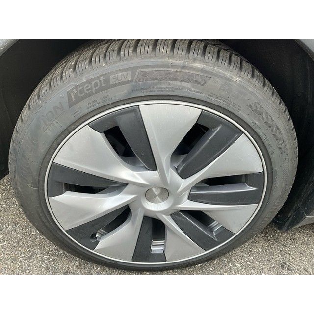 Tesla Basis RWD Model Y 01.2021 [SC]