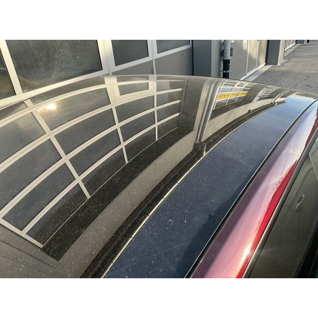 Tesla Basis RWD Model Y 01.2021 [SC]