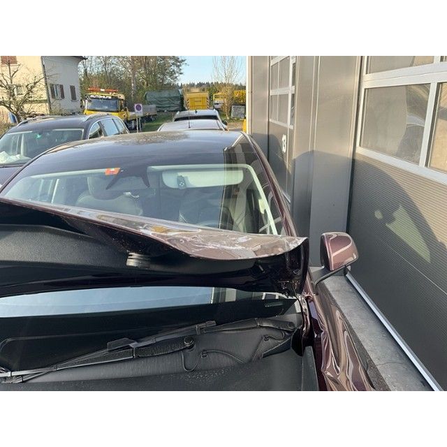 Tesla Basis RWD Model Y 01.2021 [SC]