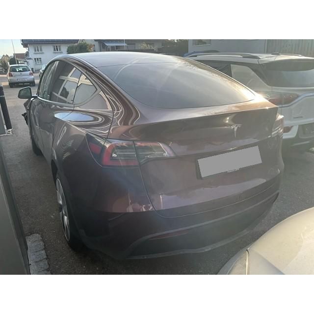 Tesla Basis RWD Model Y 01.2021 [SC]