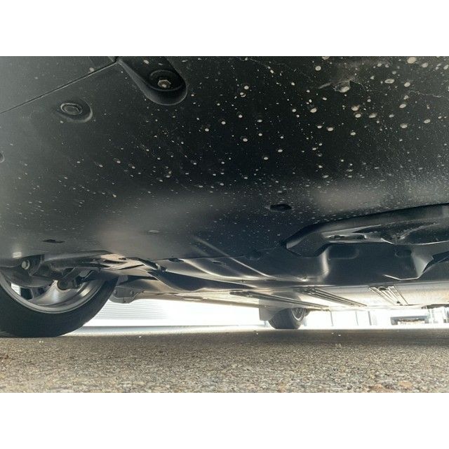 Tesla Basis RWD Model Y 01.2021 [SC]