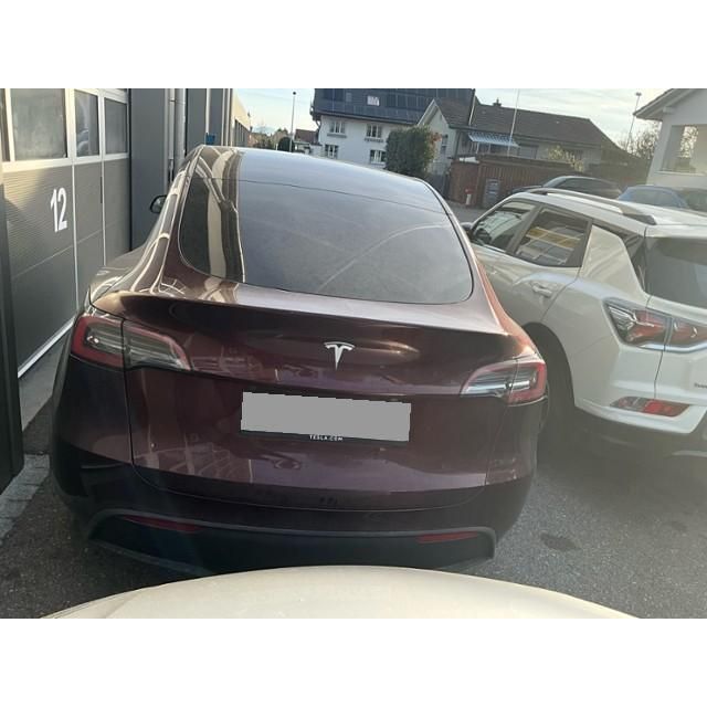 Tesla Basis RWD Model Y 01.2021 [SC]